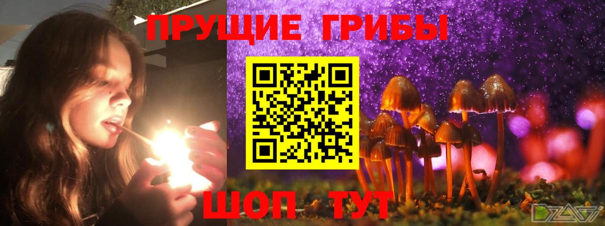 Галлюциногенные грибы Cubensis Лангепас