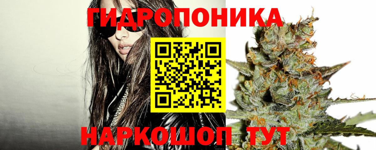 МАРИХУАНА семена Лангепас